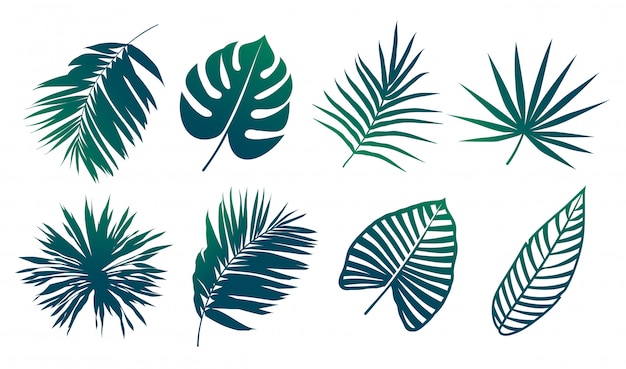 Vector tropical leaves  set