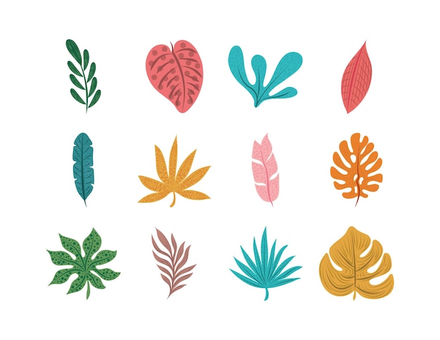 Vector tropical leaves set