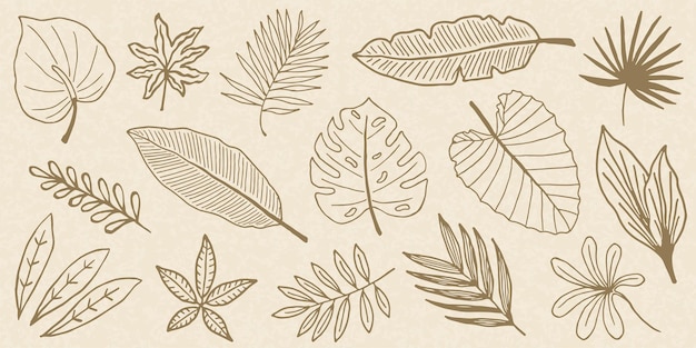 Tropical leaves set