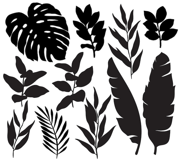 Tropical leaves silhouette set