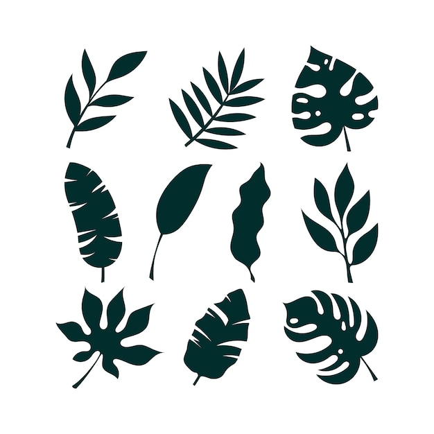 Vector tropical leaves silhouette