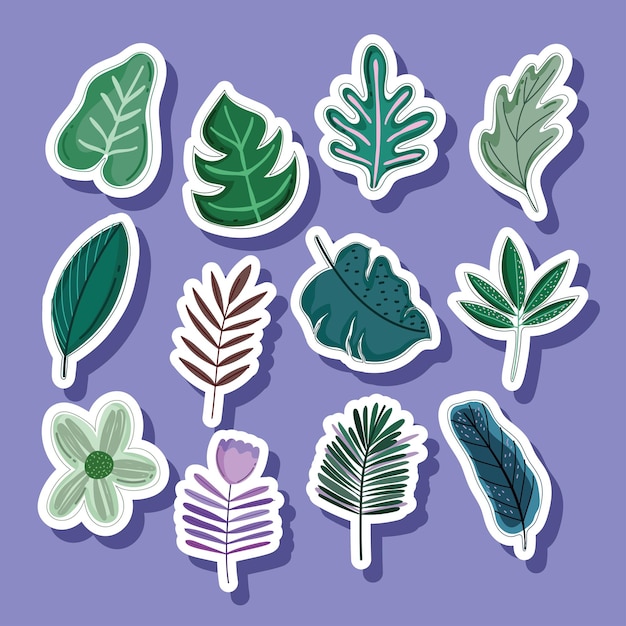 Tropical leaves stickers