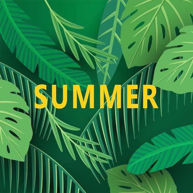 Tropical leaves summer background