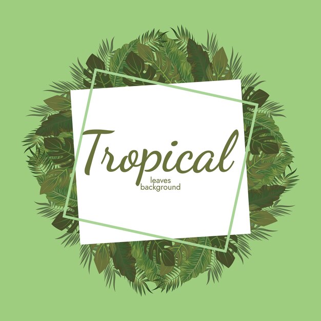 Tropical leaves and tropical elements background