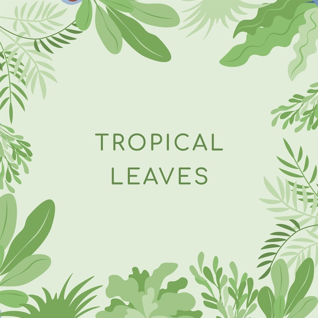 Tropical leaves vector flat banner template