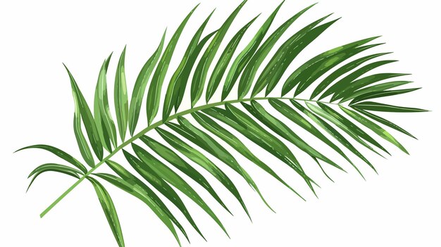 熱帯の葉のベクトルイラストとフェニックス・パームの葉