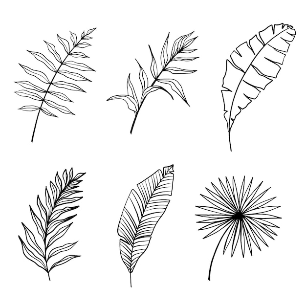 Tropical leaves vector Set of palm leaves silhouettes isolated on white background