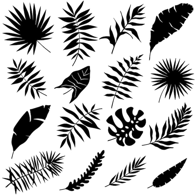 Vector tropical leaves vector set of palm leaves silhouettes isolated on white background