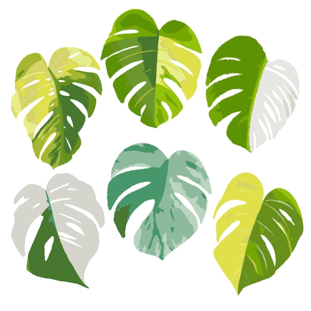 Тропические листья вектор акварель раскрашенный вручную лист изолирован на белом фоне