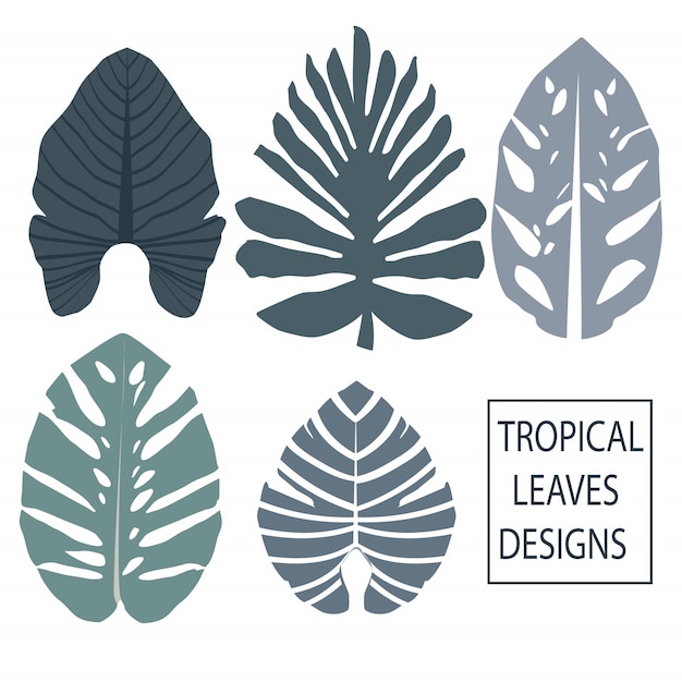 tropical leaves