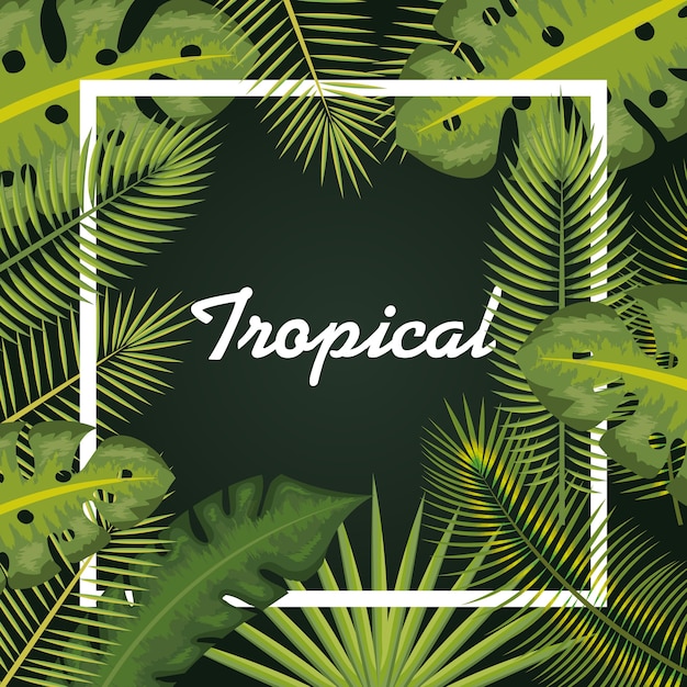 Tropical leaves