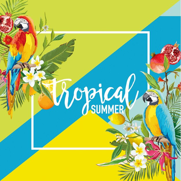 Tropical Lemon Pomegranate Fruits Flowers and Parrot Birds Summer Banner Graphic Background