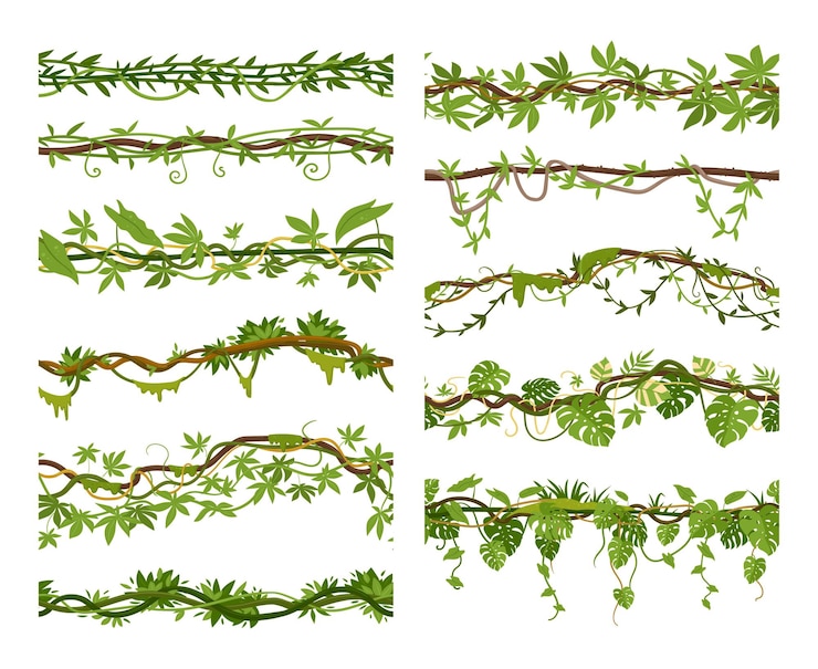 Vector tropical liana branches cartoon borders creepers seamless dividers vector illustration set