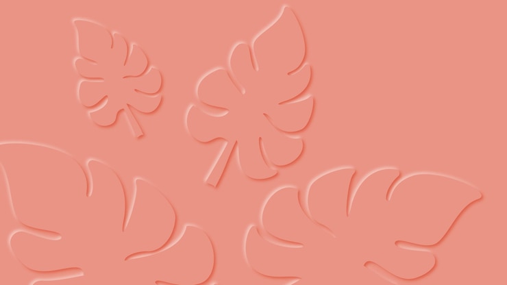 Vector tropical monstera leaves background