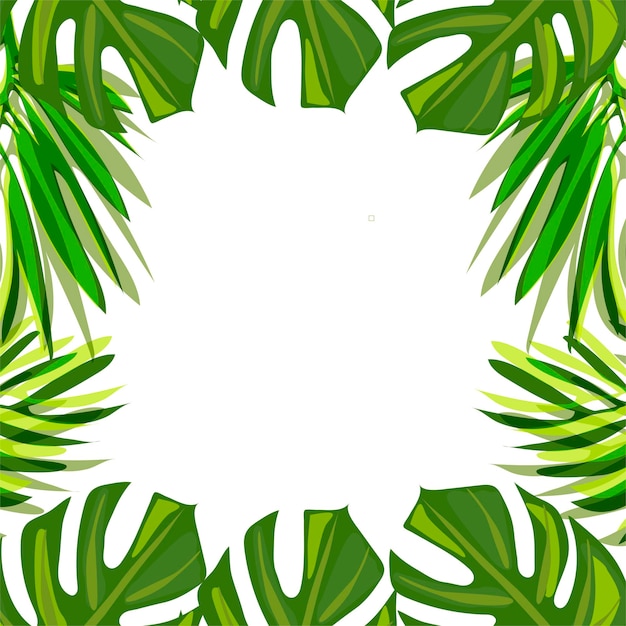 Vector tropical monstera leaves frame trendy palm trees for design cards