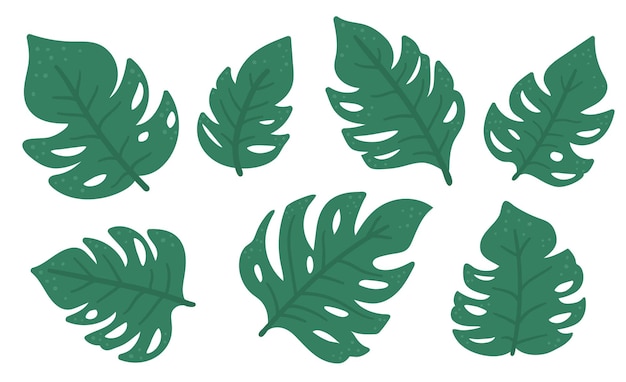 Vector tropical monstera leaves set