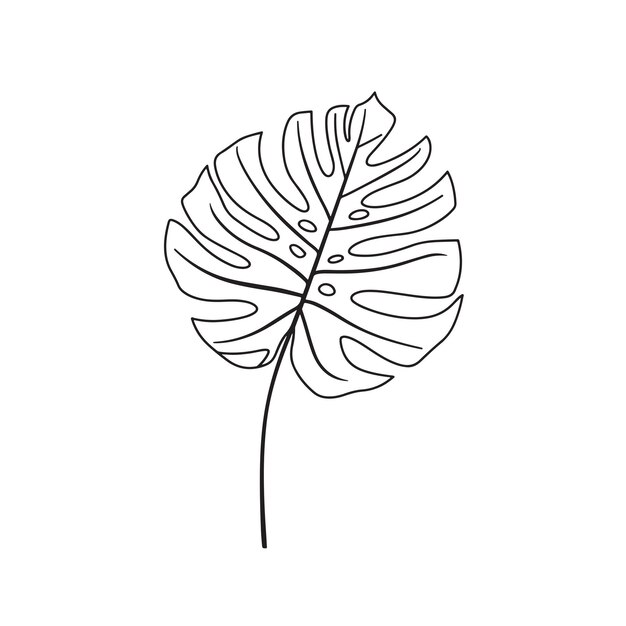 Tropical monstera palm leaf line art illustration