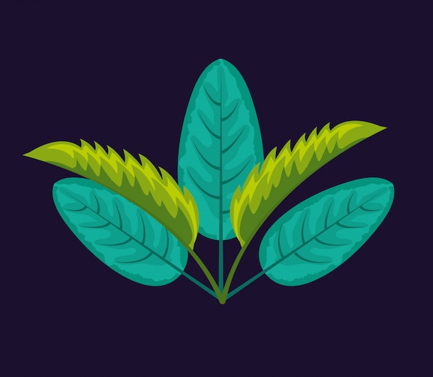 Vector tropical natural leaves