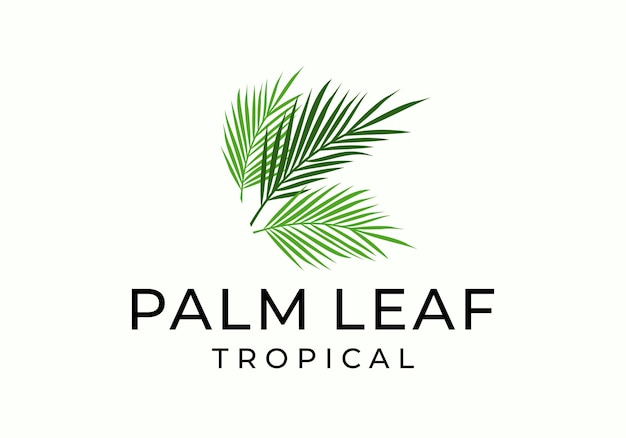 Vector tropical palm leaf logo icon vector illustration design