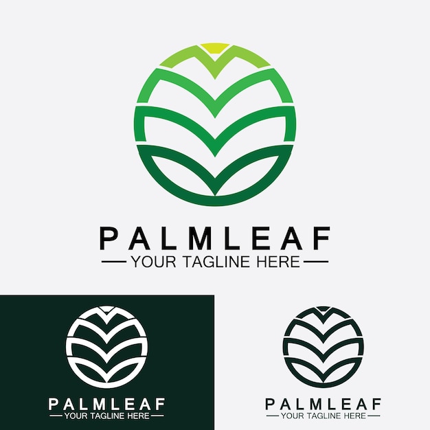 Tropical palm leaf logo vector design template