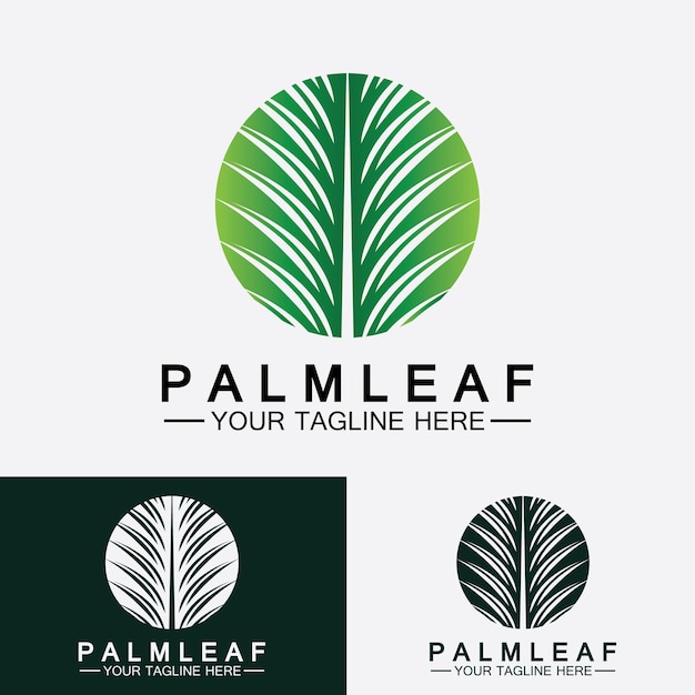 tropical palm leaf logo vector design template
