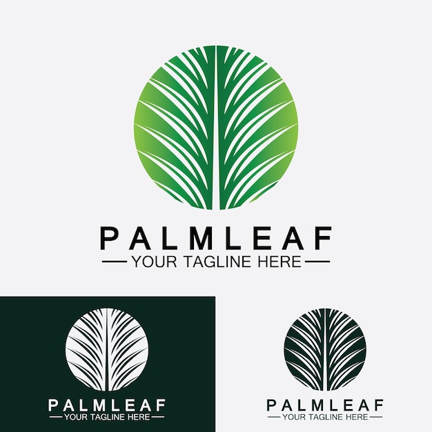 Tropical palm leaf logo vector design template