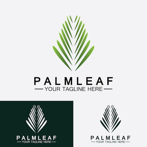 Tropical Palm leaf logo vector design template