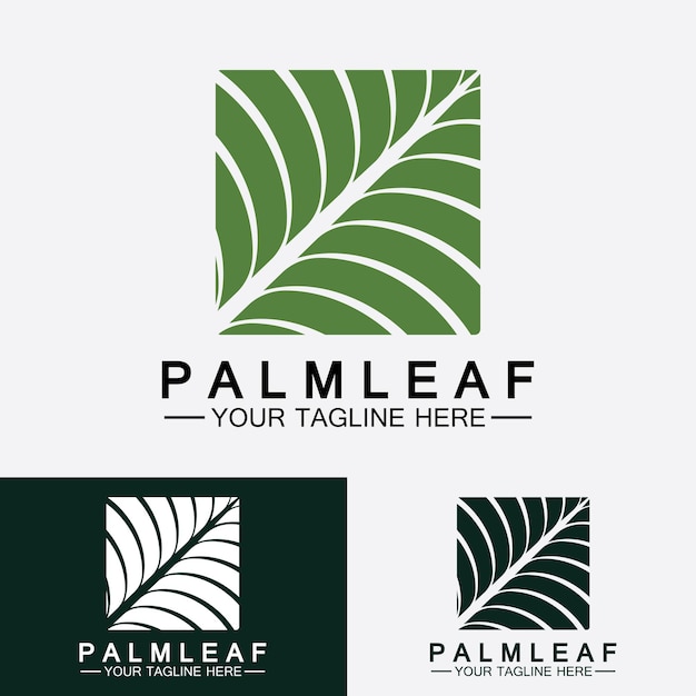 Tropical palm leaf logo vector design template