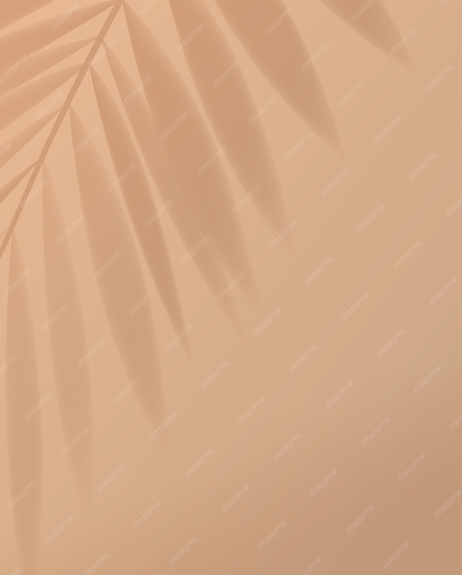 Premium Vector | Tropical palm leaf shadow on light pastel brown background.