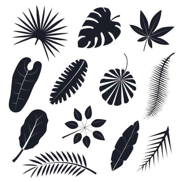 Tropical Palm Leaves Black Silhouettes Set Decorative Element Nature Plants Isolated on White Background Vector illustration of Palms