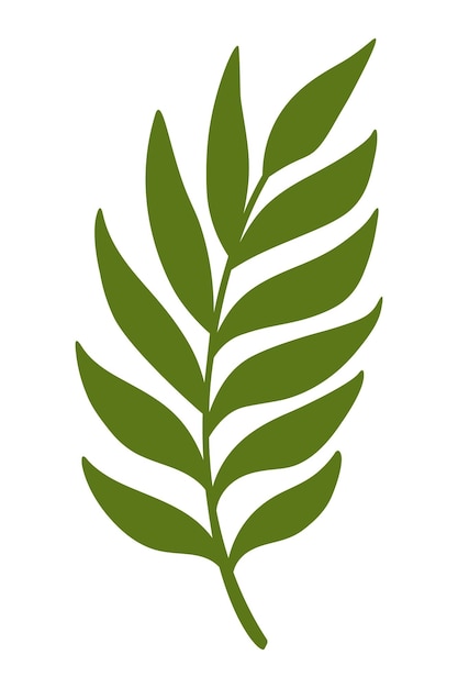 tropical palm leaves. doodle flat clipart. all objects are repainted.