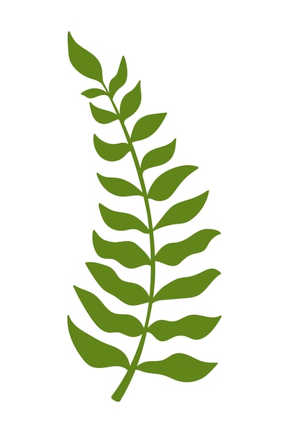 tropical palm leaves. doodle flat clipart. all objects are repainted.