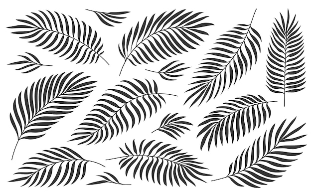 Tropical palm leaves jungle foliage black silhouette set isolated on white exotic nature plant leaf for wedding greeting cards foil diy laminating wrappers hand drawn tropic summer floral stamp