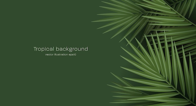 Tropical palm leaves jungle palm leaf creating texture modern wallpaper with copy placement