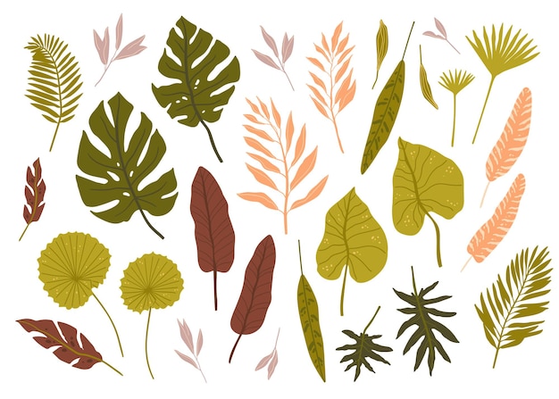 Тропические пальмовые листья Дух джунглей Изолированный папоротник монстера и другие листья Векторная иллюстрация
