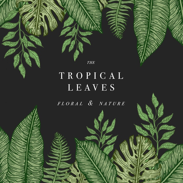 Tropical palm leaves. jungle  template.  illustration