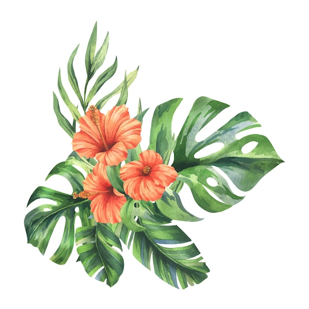 トロピカル・パーム・リーフ・モンステラと赤いヒビスカスの花 鮮やかなジューシー 手描きの水彩画 植物学イラスト 白い背景の孤立した構成