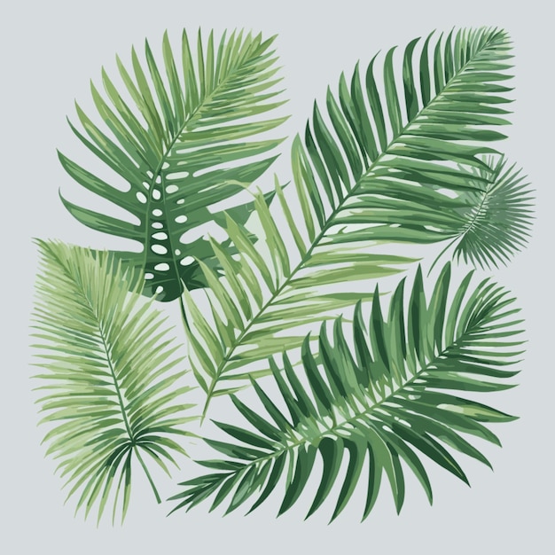 Vector tropical palm leaves