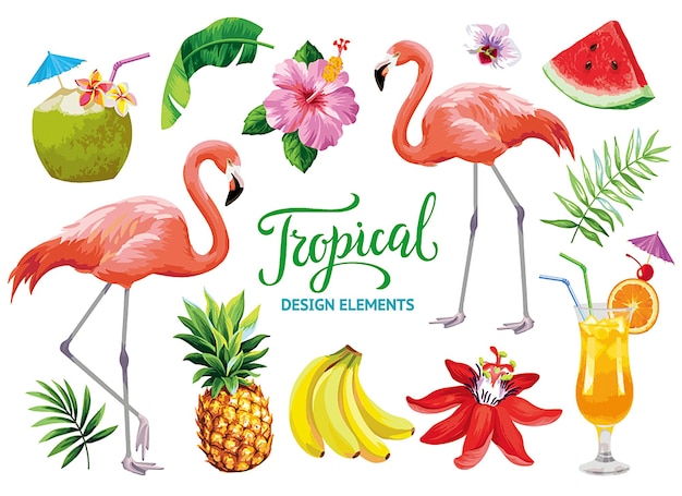 Tropical Palm Plant Plantain Flamingo Parrot Pineapple