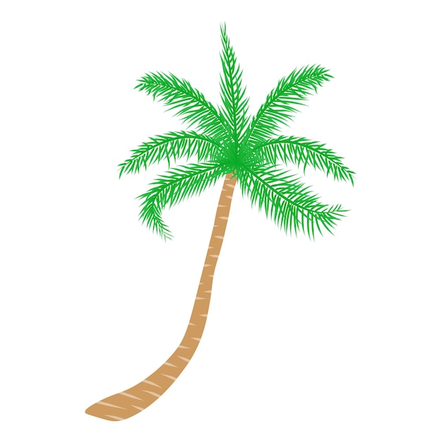 Tropical palm tree Vector illustration