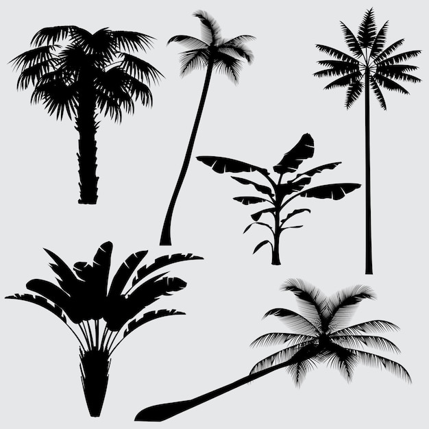 Tropical palm tree vector silhouettes 