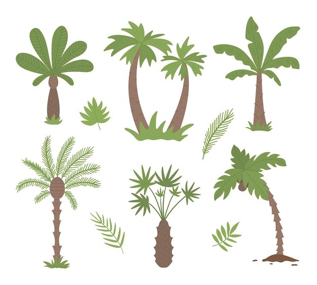 Tropical palm trees clip art