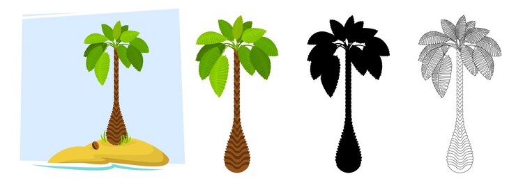 Vector tropical palm trees illustration of a palm tree black silhouettes and outline contours