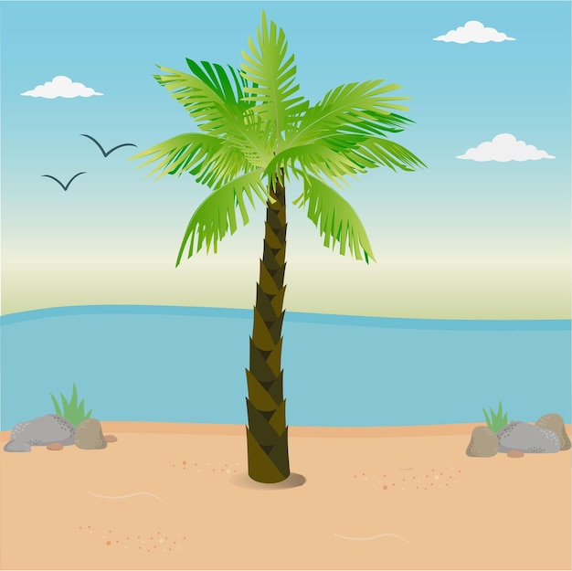 Vector tropical palm trees oceanfront beautiful landscape sky seagulls beautiful