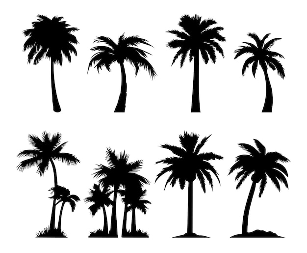 Vector tropical palm trees set silhouettes