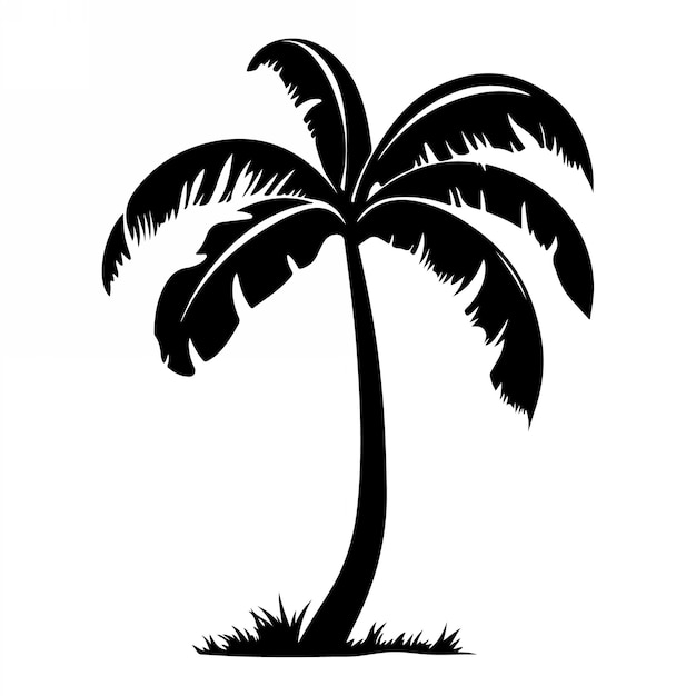 Vector tropical palm trees with leaves and black silhouettes isolated on a white background vector