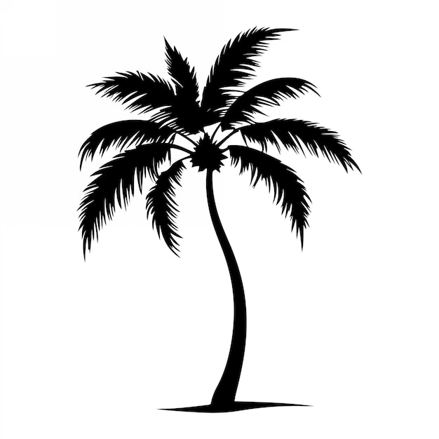 Тропические пальмы с листьями и черными силуэтами, изолированными на белом фоне