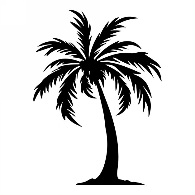 Vector tropical palm trees with leaves and black silhouettes isolated on a white background vector