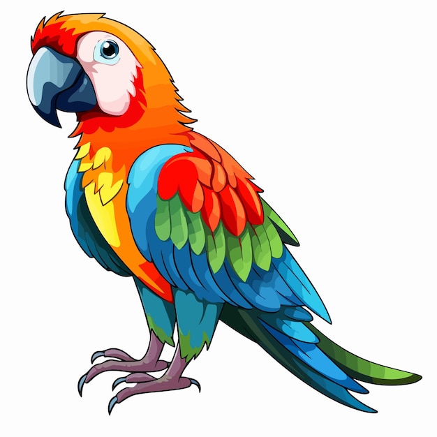 Vector tropical parrot flat vector illustration tropical parrot hand drawing isolated vector illustration