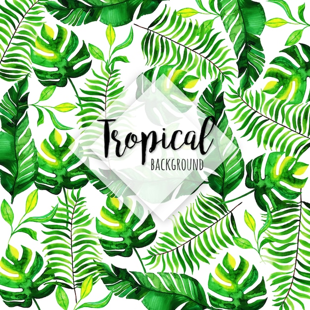 Tropical Pattern With Different Leaves in Watercolor Style